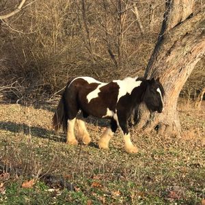 Meet your Posher, Nancy